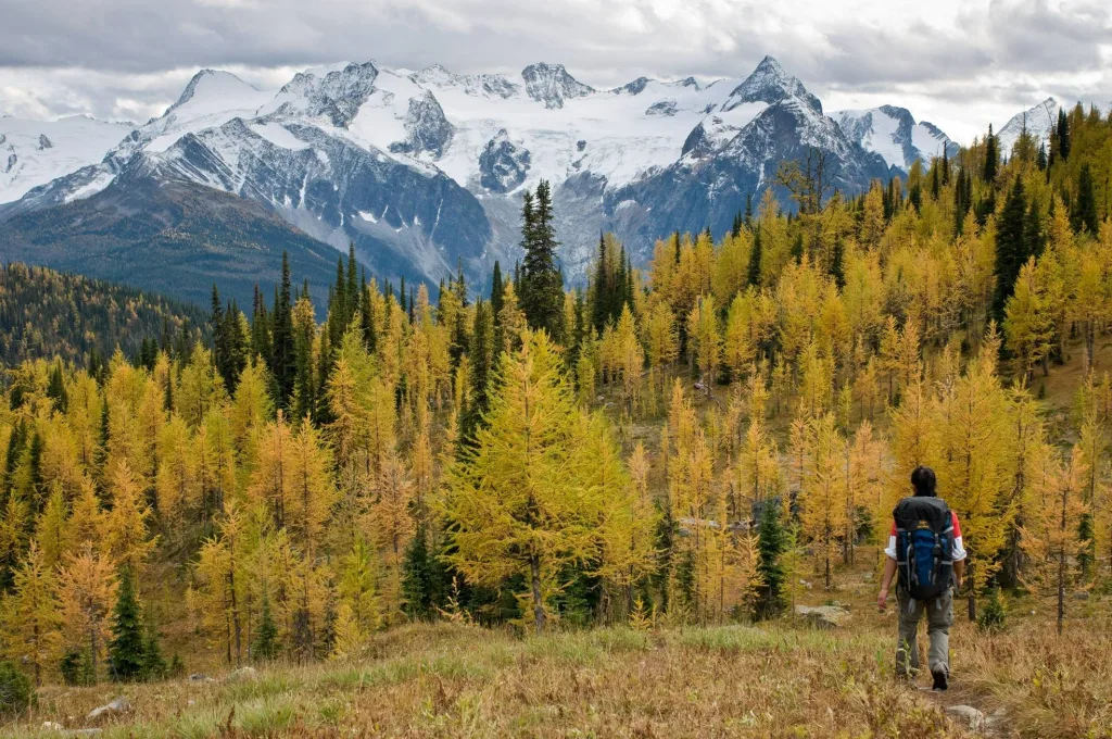 Mountain Trek Monica Meadows